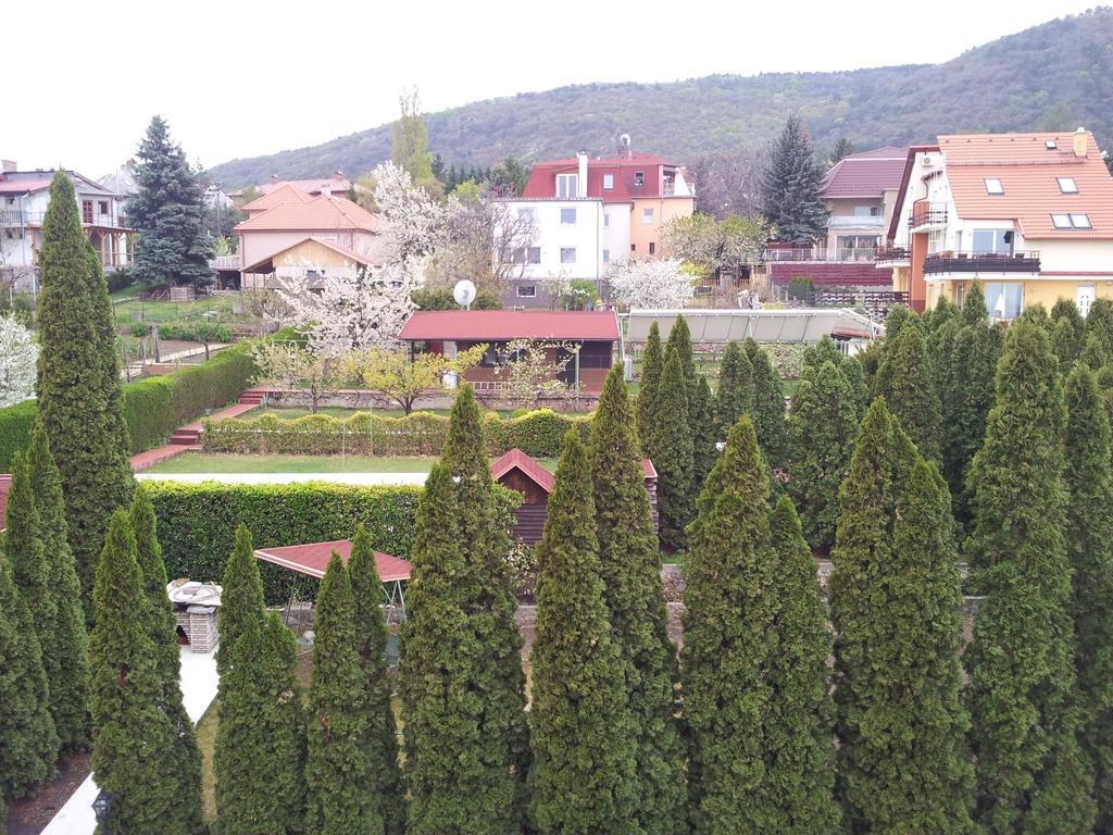 Agi Panzio Obuda Bed & Breakfast Budapest Luaran gambar